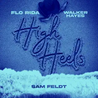 Flo Rida Walker Hayes - Sam Feldt - High Heels - Party Down Under Extended Workout - Single